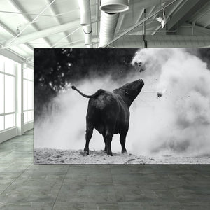 Dancing With Bulls 3