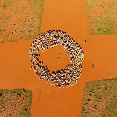 Naughts and Crosses